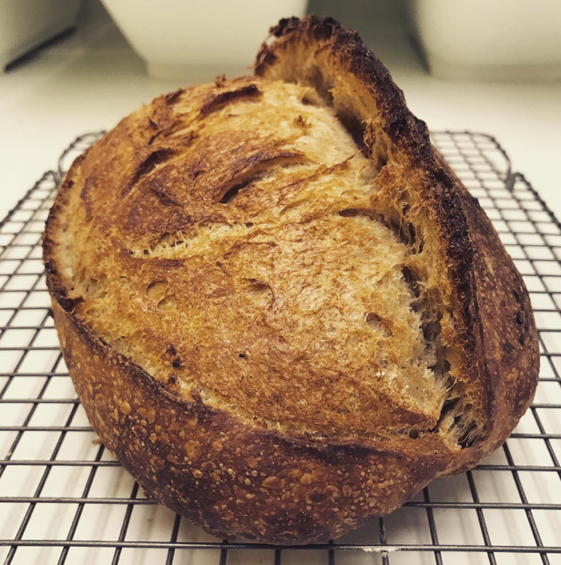 Bread - Country Sourdough Loaf 1 count - LOCAL