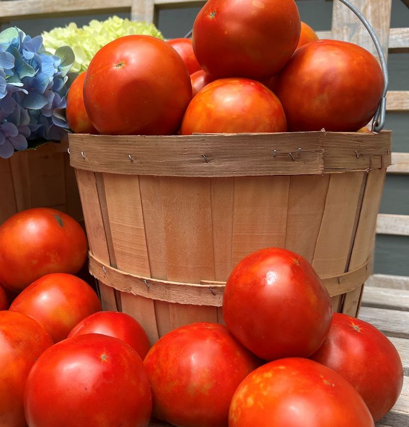 Tomatoes Large - Vine Ripe large 1 count - LOCAL