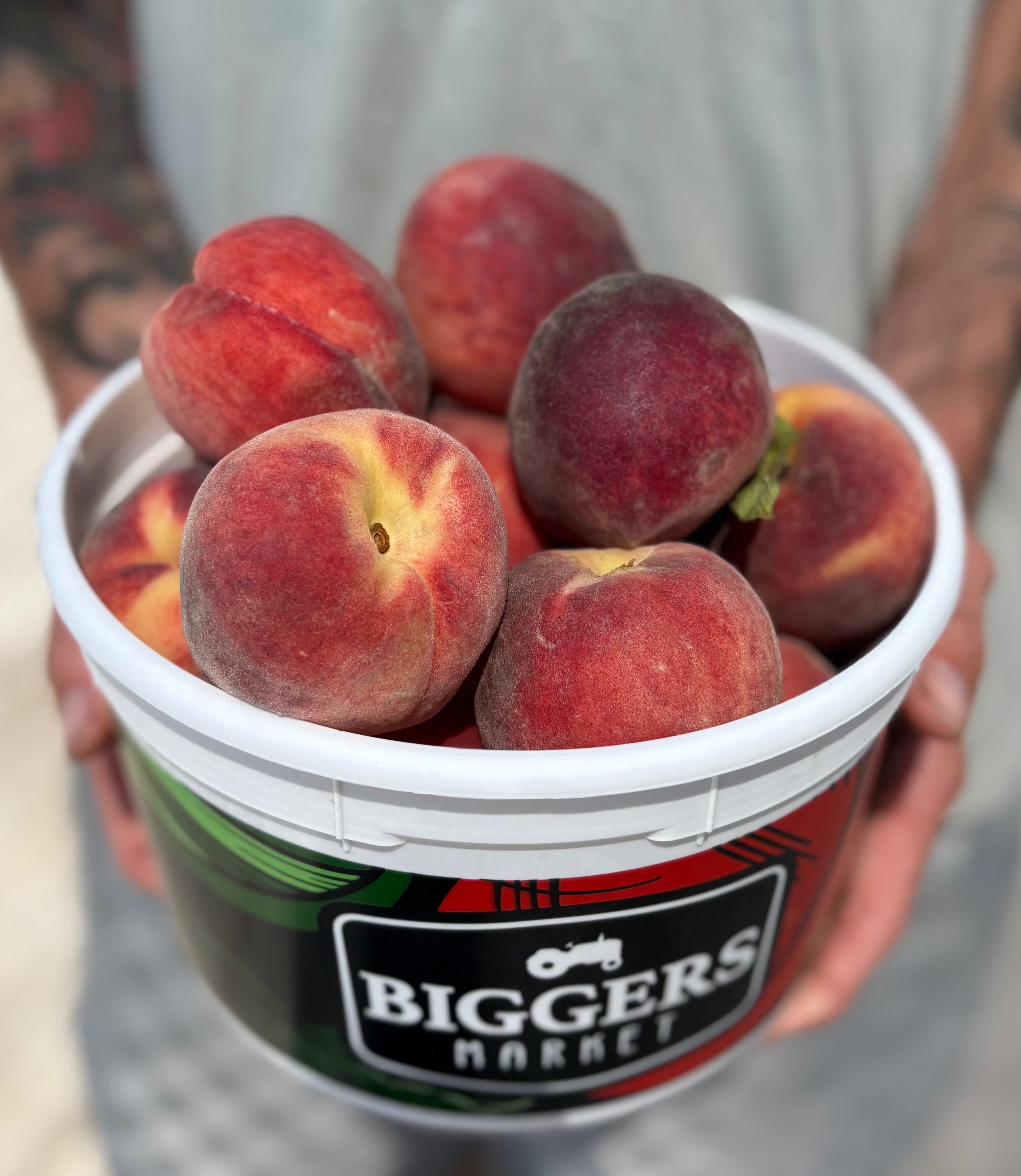 Peaches- White Peach Bucket- 5.5-6lbs.
