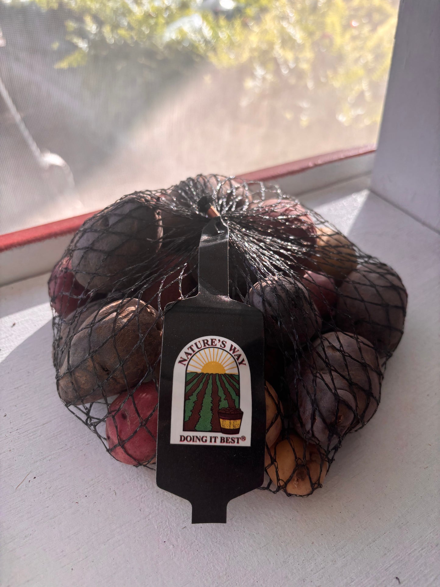 Potatoes - Mini Tri-color