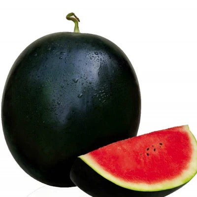 Melon- Sugar Baby Watermelon