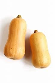 Squash- Butternut