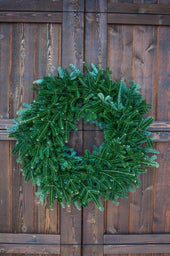 Fresh Frasier Fir Wreath 12" ring (22-28" wreath width)