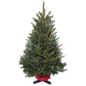 Table Top Christmas Tree (22-30" / stand not included)