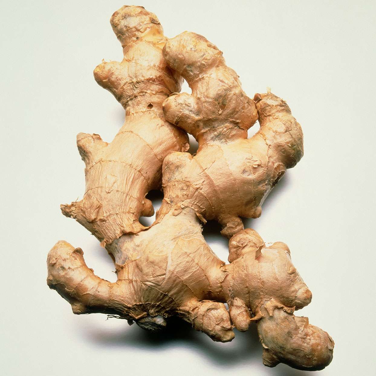 Ginger - 1/4 lb.