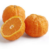 Citrus - Golden Nugget Mandarin, 1 count