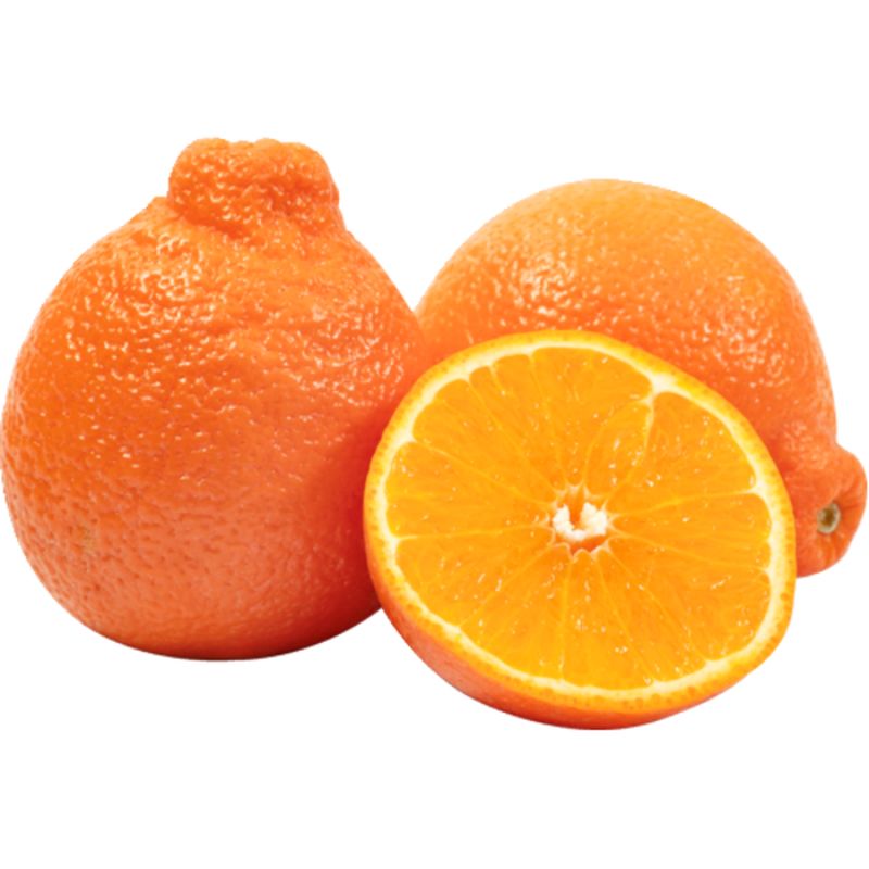 Minneola Tangelo- 1 count