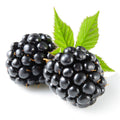 Blackberries (1 Pint)