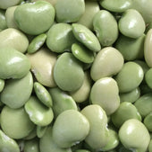 Beans - Butter Beans (Shelled)  1 lb. bag