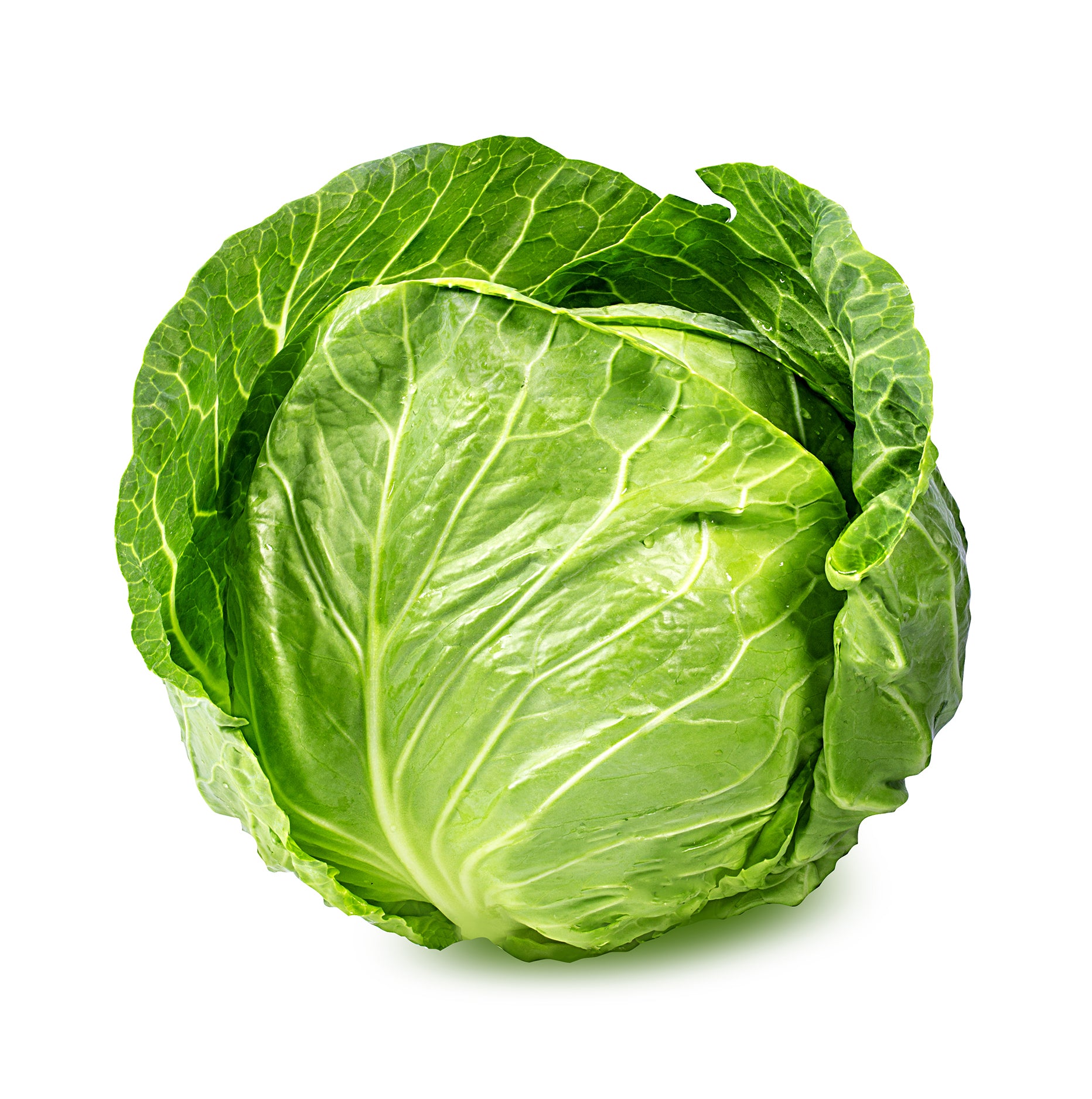 Cabbage- Green- 1 head