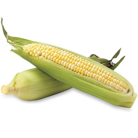 Corn - Sweet Bi Color- 1 count