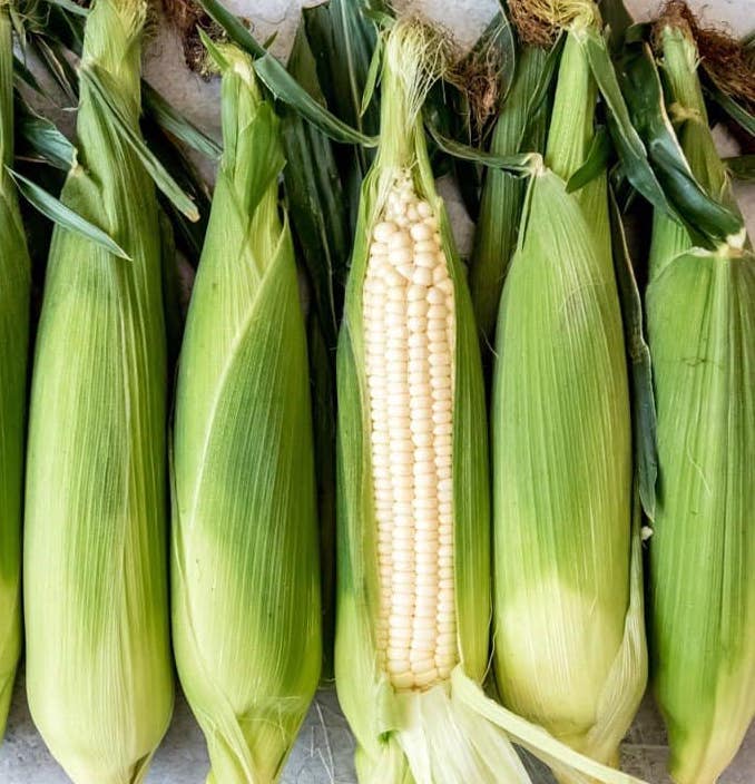 Corn - Sweet White 4 count