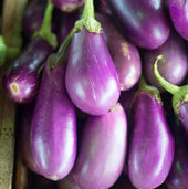 Eggplant - Neon 1 count LOCAL