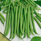 Green Beans - Snap (Blue Lake) 1 lb. LOCAL