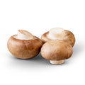Mushroom Baby Bella 1 pack 8 oz