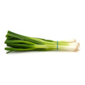 Onion - green onion 1 bunch
