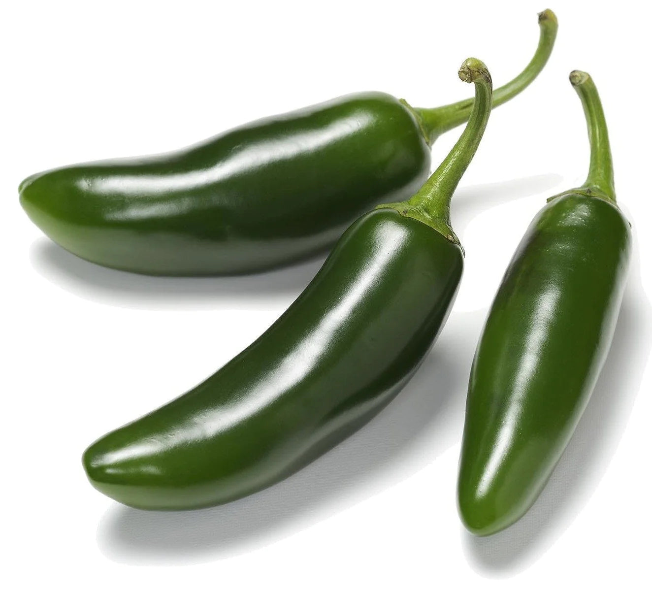 Pepper Jalapeno 6 count